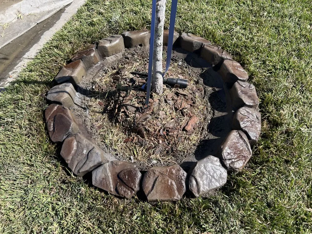 Reliable lawn mowing service in Tampa, FL - Cutting Edge Curbing