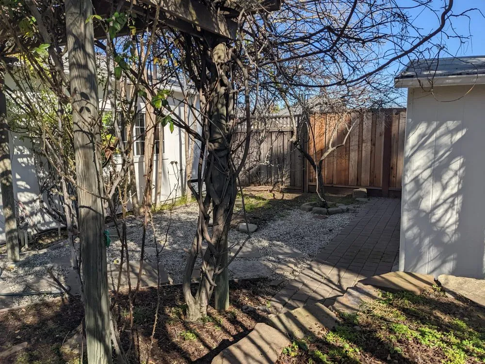 Custom lawn mowing service with custom design in Sunnyvale, CA by Cutting Edge Design & Build