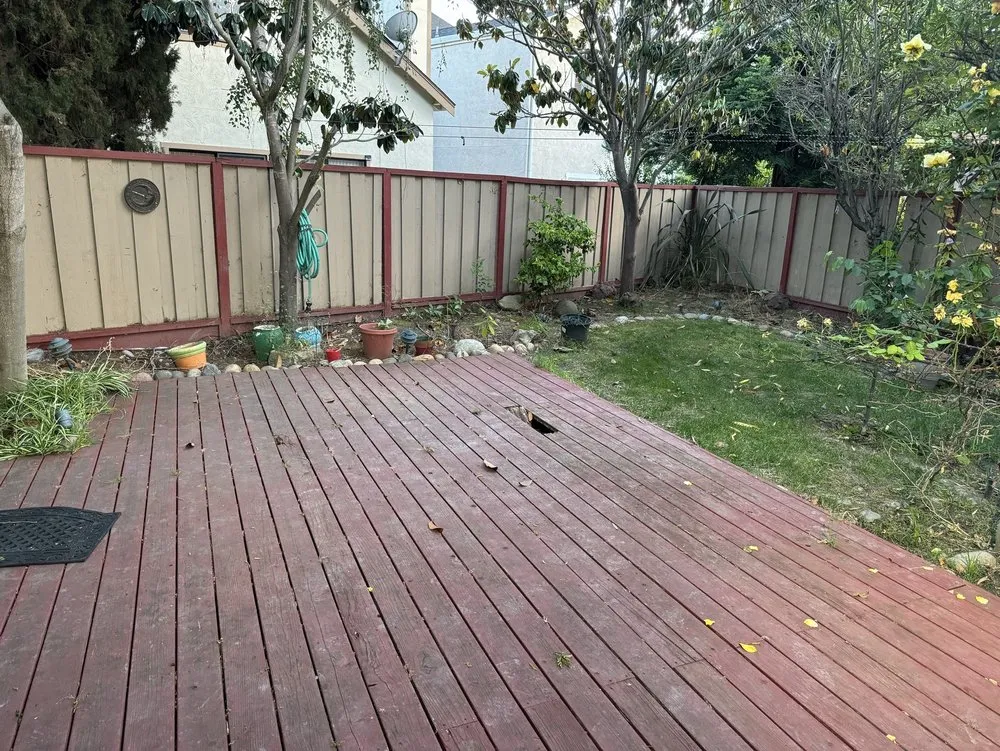 Top-rated landscape installation for year-round maintenance across Sunnyvale, CA - Cutting Edge Design & Build