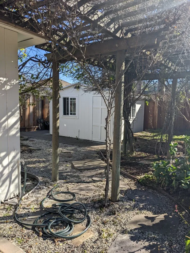 Custom yard cleanup service in Sunnyvale, CA - Cutting Edge Design & Build