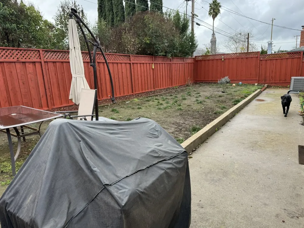 Local yard maintenance for outdoor upgrades across Sunnyvale, CA - Cutting Edge Design & Build