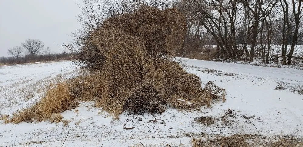 Expert outdoor landscaping for residential properties across Pickett, WI - Cutting Edge Forestry