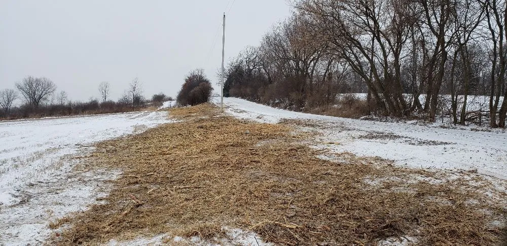 Expert landscape installation in Pickett, WI - Cutting Edge Forestry