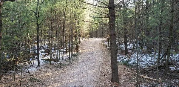 Cutting Edge Forestry