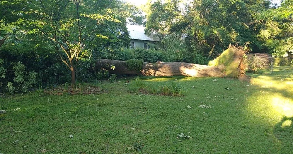 Local yard maintenance in Hawkinsville, GA by Cutting Edge