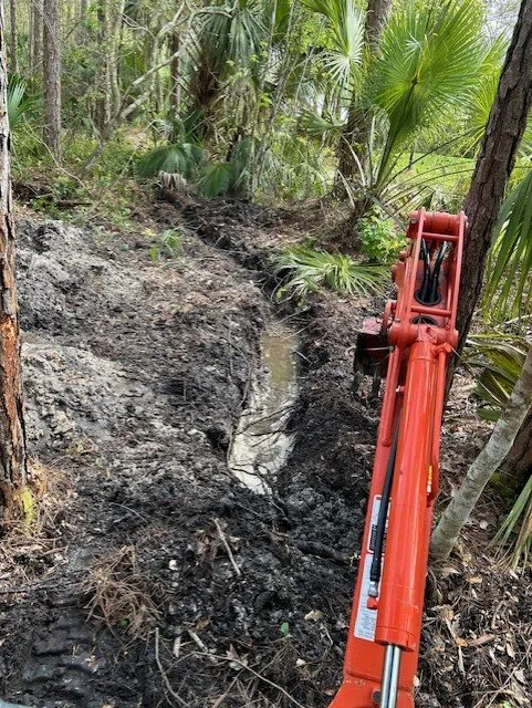 Reliable yard cleanup service in Edgewater, FL by Cutting Edge Land & Turf Services