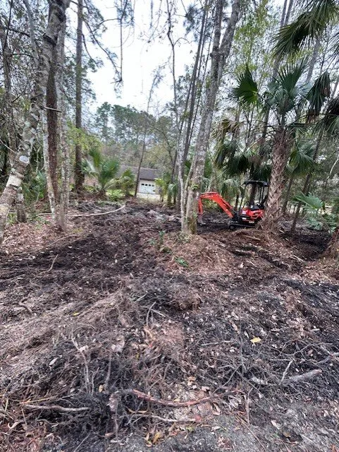 Affordable landscape installation for outdoor upgrades in Edgewater, FL by Cutting Edge Land & Turf Services