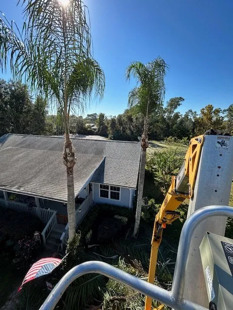 Professional residential landscaping experts serving Edgewater, FL - Cutting Edge Land & Turf Services