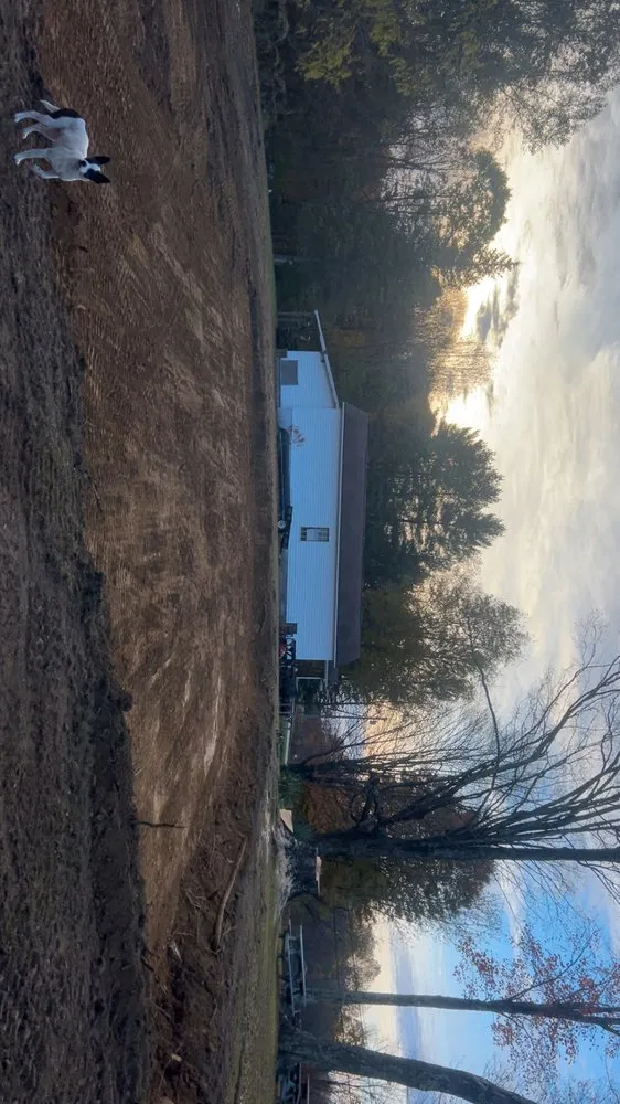 Custom residential landscaping for homes in Nettie, WV by Cutting edge land services