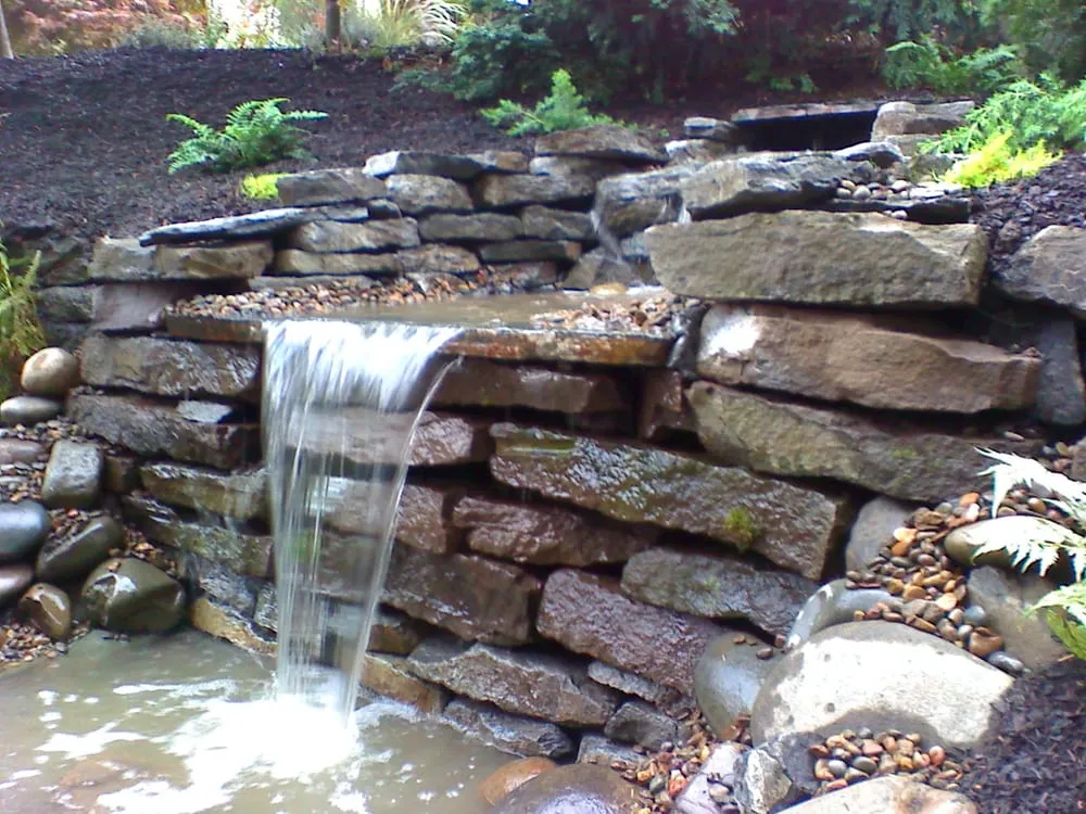 Affordable lawn care service for homes in Eugene, OR by Cutting Edge Landscape & Design