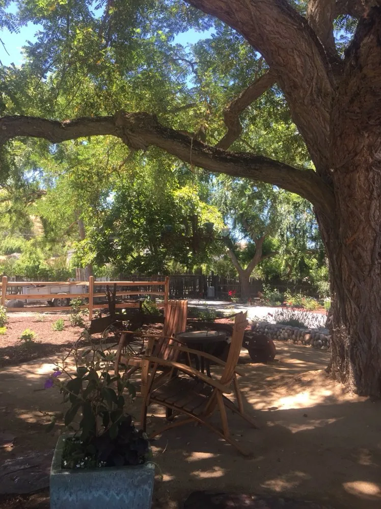 Top-rated yard maintenance for year-round maintenance across Hollister, CA - Cutting Edge Landscape & Maintenance Company