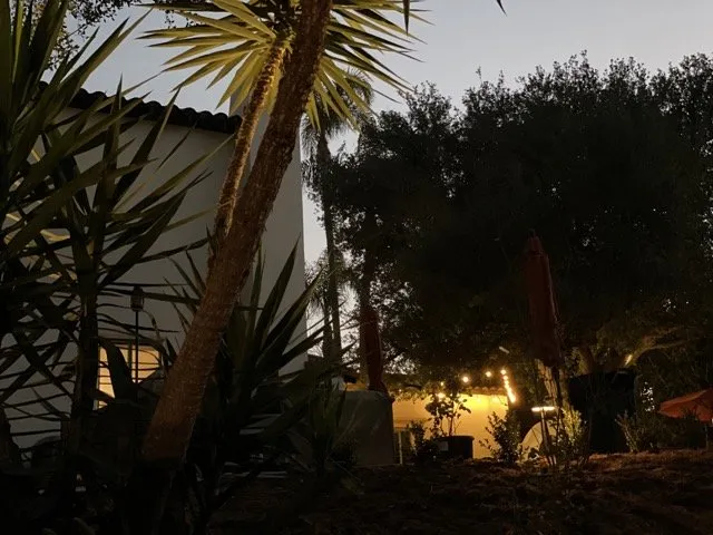 Trusted residential landscaping experts serving Brea, CA - Cutting Edge Landscape