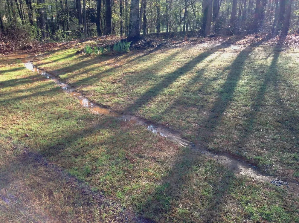 Custom landscape design for year-round maintenance across Newnan, GA - Cutting Edge Landscape Services