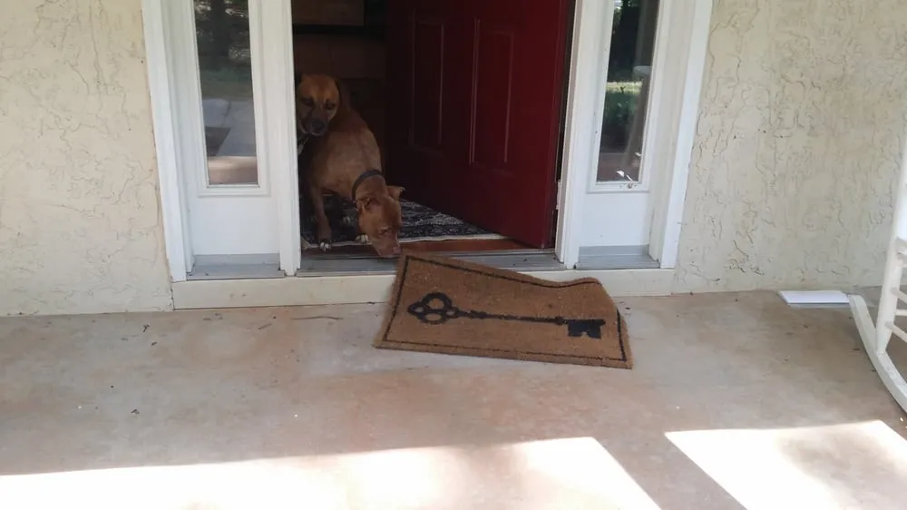 Local garden landscaping in Newnan, GA by Cutting Edge Landscape Services