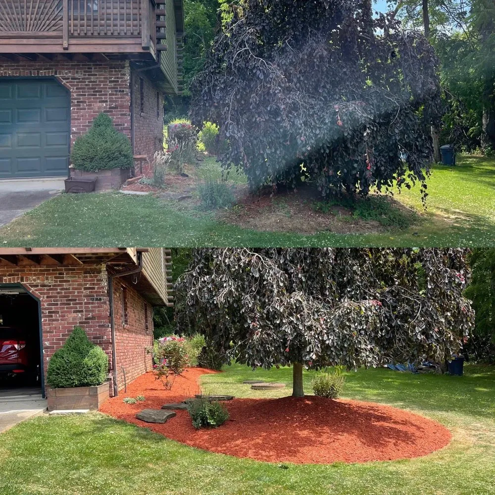 Local yard cleanup service experts serving Yukon, PA - Cutting Edge Landscape