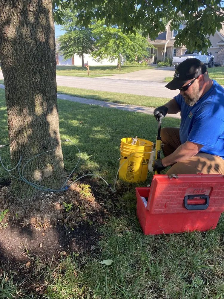 Custom lawn mowing service near you across Lawson, MO - Cutting Edge Landscapes