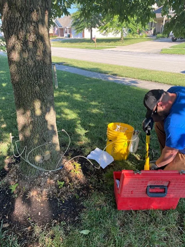 Reliable yard maintenance experts serving Lawson, MO - Cutting Edge Landscapes