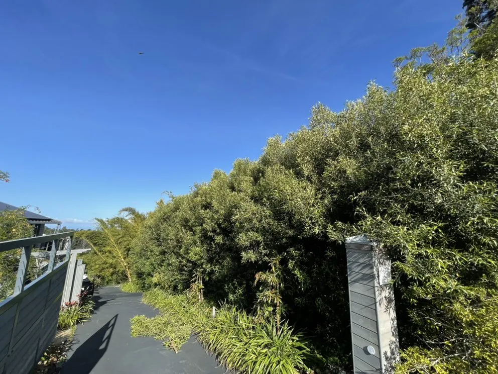 Professional landscaping services experts serving Pukalani, HI - Cutting Edge Landscaping & Tree Trimming