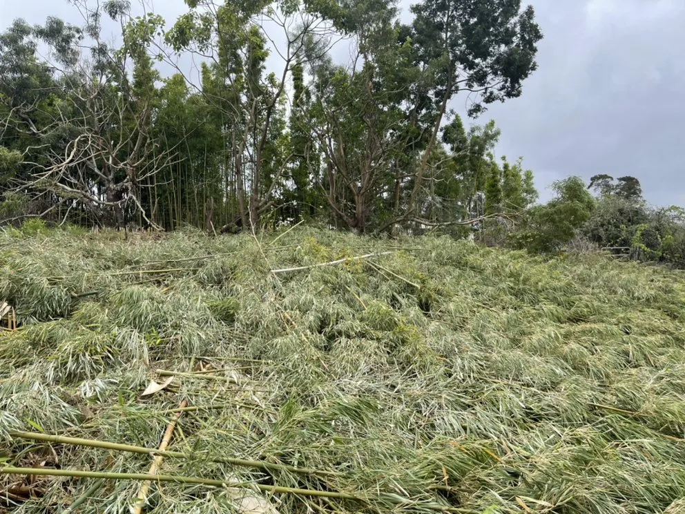 Expert outdoor landscaping in Pukalani, HI - Cutting Edge Landscaping & Tree Trimming