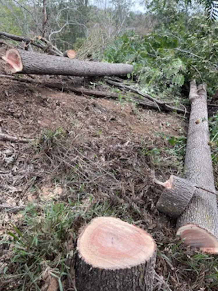 Local lawn care service experts serving Pukalani, HI - Cutting Edge Landscaping & Tree Trimming