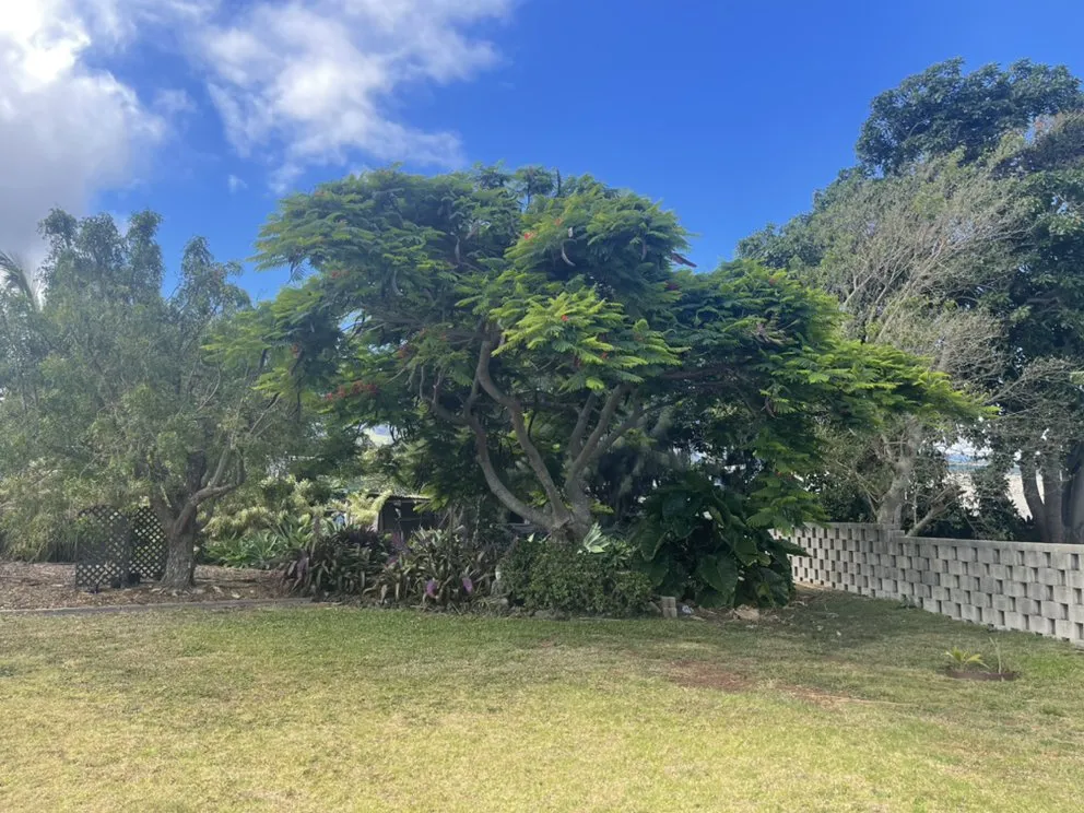 Expert garden landscaping for outdoor upgrades across Pukalani, HI - Cutting Edge Landscaping & Tree Trimming