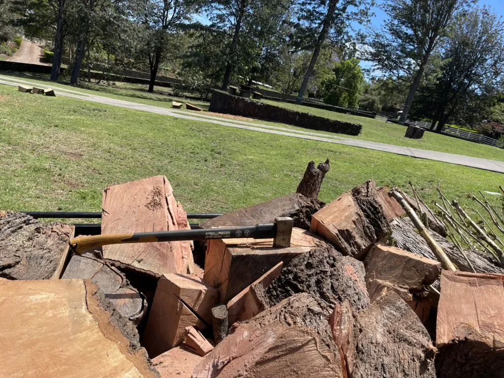 Expert lawn care service for homes in Pukalani, HI by Cutting Edge Landscaping & Tree Trimming