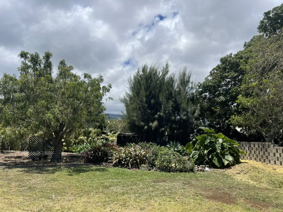 Professional yard cleanup service for outdoor upgrades in Pukalani, HI by Cutting Edge Landscaping & Tree Trimming