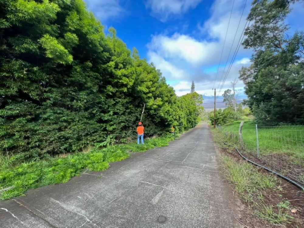 Professional landscape installation with custom design in Pukalani, HI by Cutting Edge Landscaping & Tree Trimming