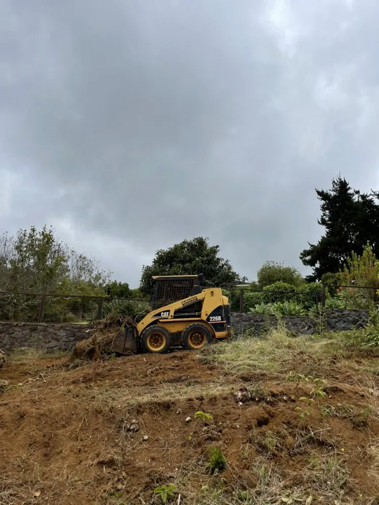 Trusted yard cleanup service near you across Pukalani, HI - Cutting Edge Landscaping & Tree Trimming