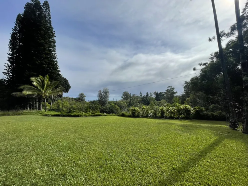 Expert outdoor landscaping experts serving Pukalani, HI - Cutting Edge Landscaping & Tree Trimming