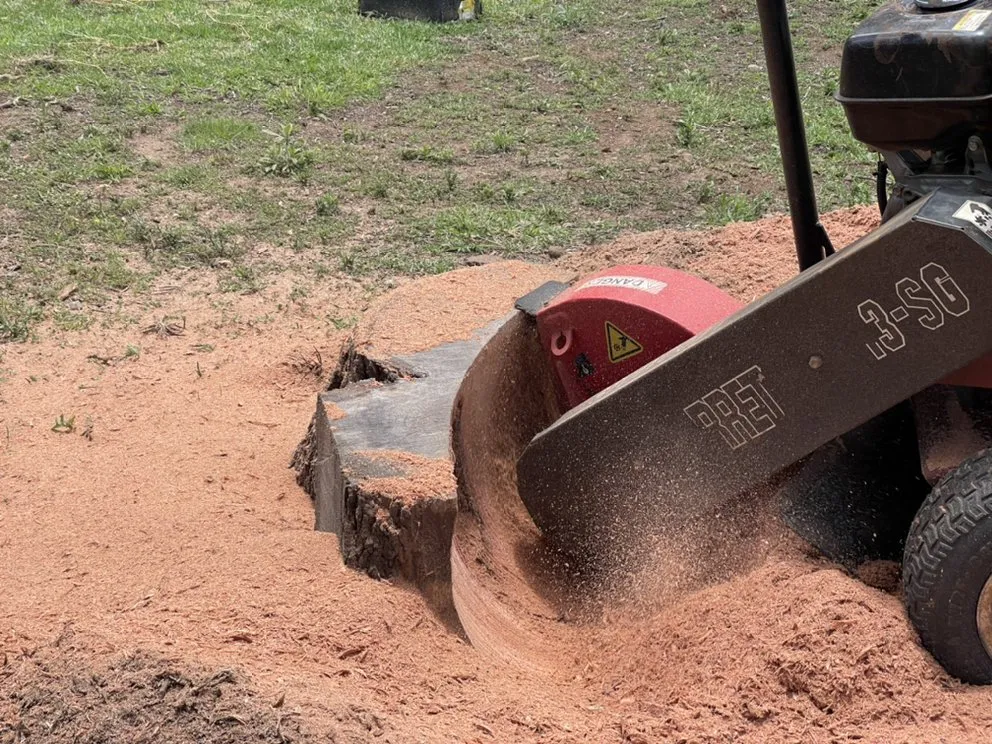 Trusted lawn care service in Pukalani, HI by Cutting Edge Landscaping & Tree Trimming