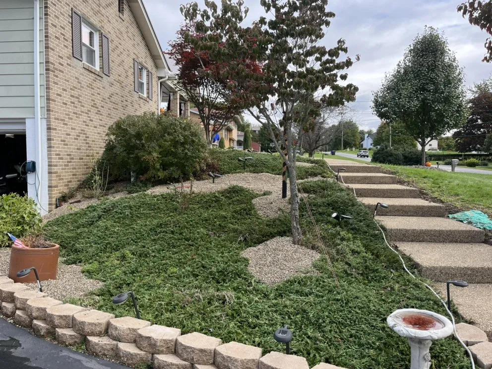 Top-rated yard cleanup service for homes across Beaver Falls, PA - Cutting Edge Landscaping