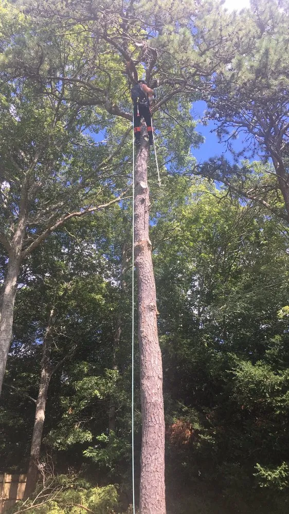 Local outdoor landscaping in Sandwich, MA - Cutting Edge Landscaping Cape Cod