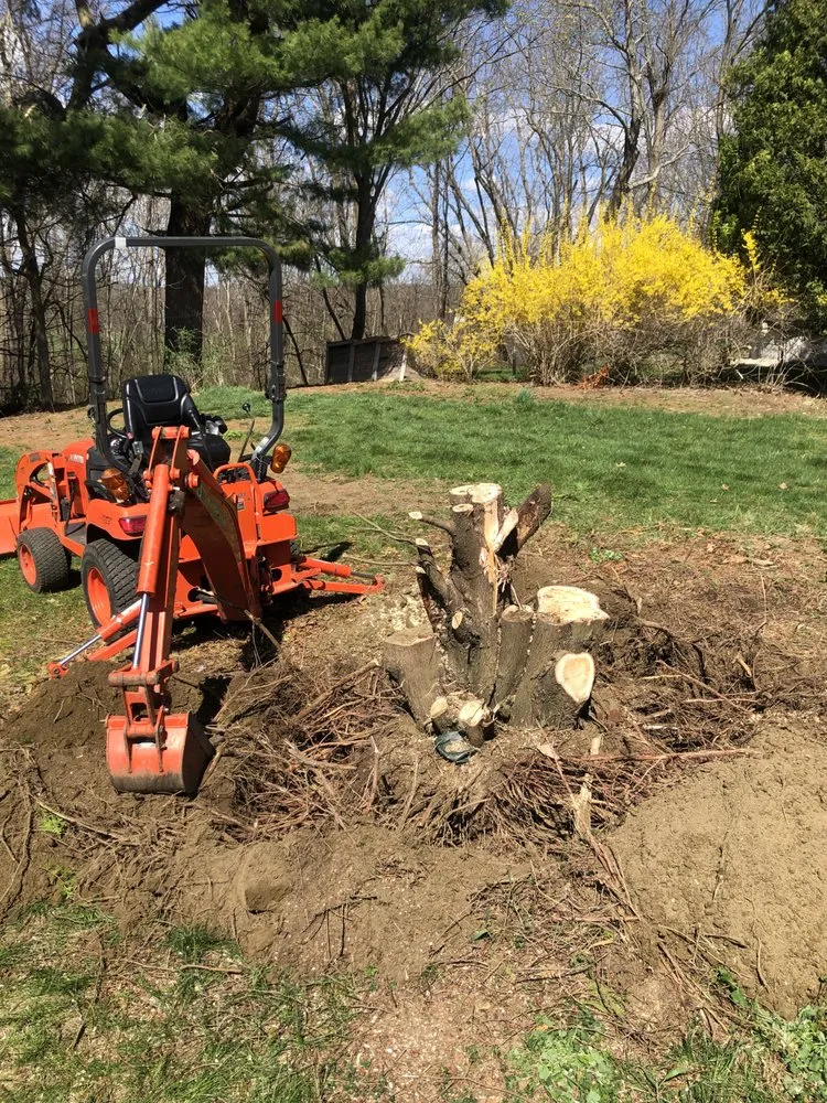 Affordable lawn care service in Easthampton, MA by Cutting Edge Landscaping