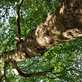 Reliable yard cleanup service experts serving Liberty Lake, WA - Cutting Edge Landscaping