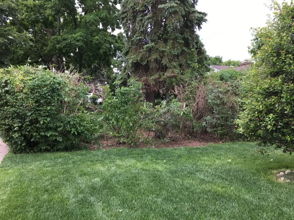Local landscape design in Palatine, IL - Cutting Edge Landscaping