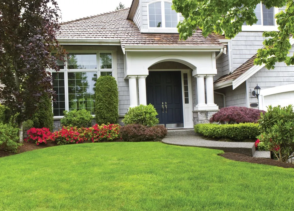 Trusted yard maintenance in San Jose, CA by Cutting Edge Landscaping