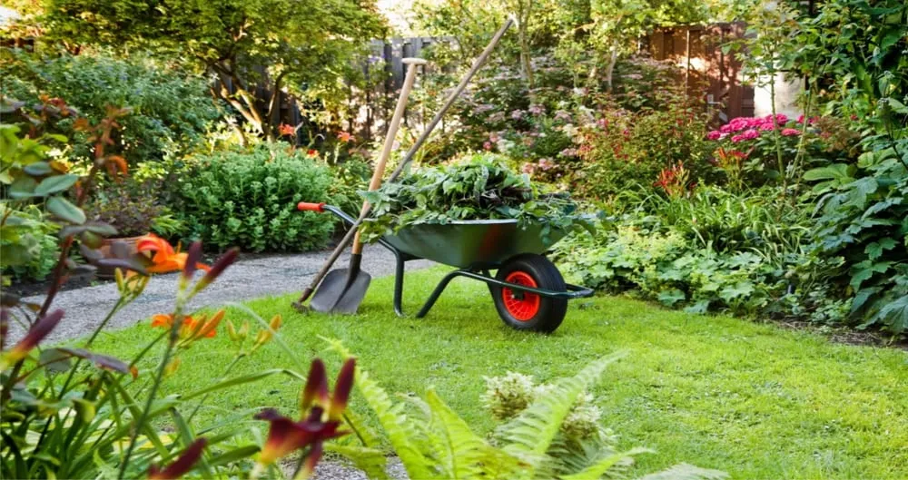 Expert residential landscaping near you in San Jose, CA by Cutting Edge Landscaping