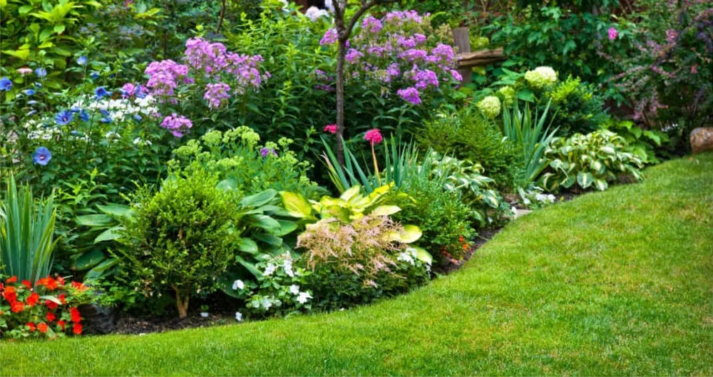 Trusted landscape design with custom design in San Jose, CA by Cutting Edge Landscaping
