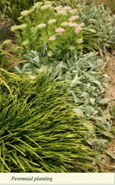 Trusted garden landscaping near you in Alexandria, VA by Cutting Edge Lawn & Landscaping