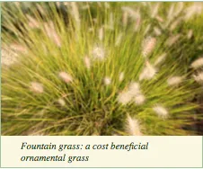 Local landscape installation in Alexandria, VA by Cutting Edge Lawn & Landscaping