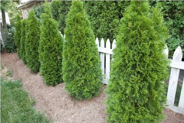 Expert landscaping services with custom design across Alexandria, VA - Cutting Edge Lawn & Landscaping