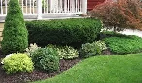 Professional landscape design for beautiful yards in Byron, MN by Cutting Edge Lawn & Landscaping