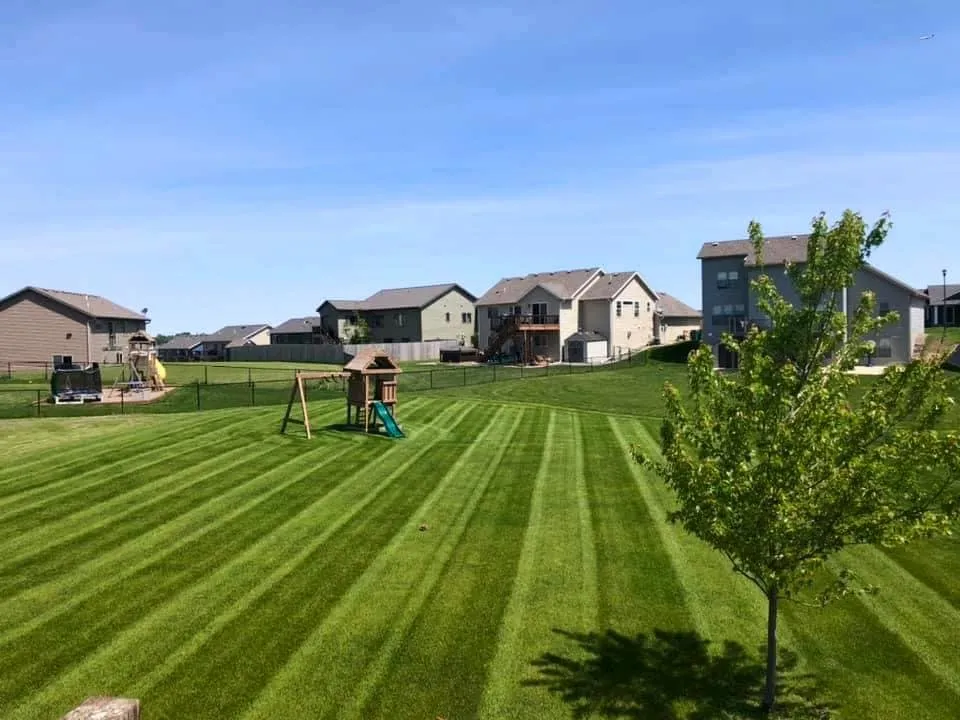 Top-rated landscape installation for year-round maintenance across Byron, MN - Cutting Edge Lawn & Landscaping