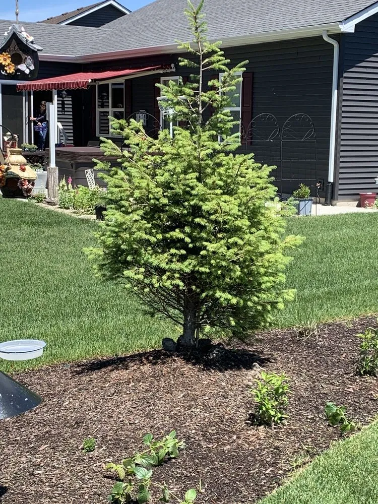 Trusted lawn mowing service experts serving Saint John, IN - Cutting Edge Lawn & Landscaping