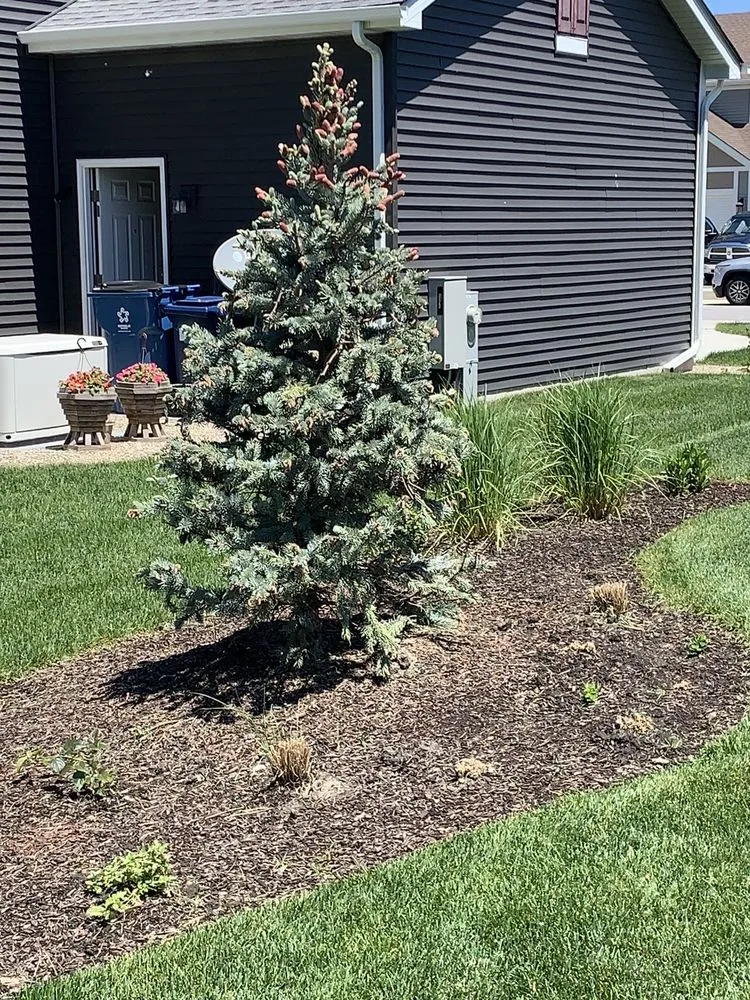 Local yard maintenance experts serving Saint John, IN - Cutting Edge Lawn & Landscaping