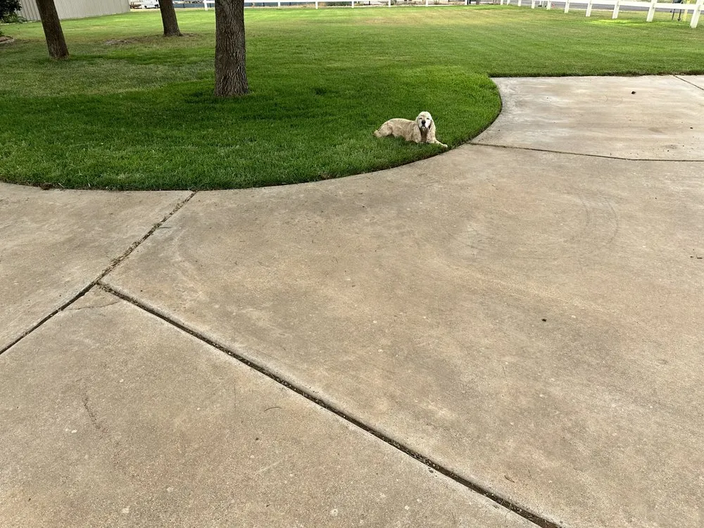 Affordable landscape design in Lubbock, TX by Cutting Edge Lawn & Lights