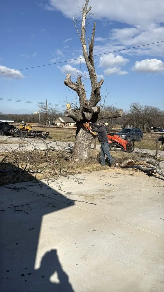Local landscape design experts serving Midlothian, TX - Cutting Edge Lawn & Tree Service