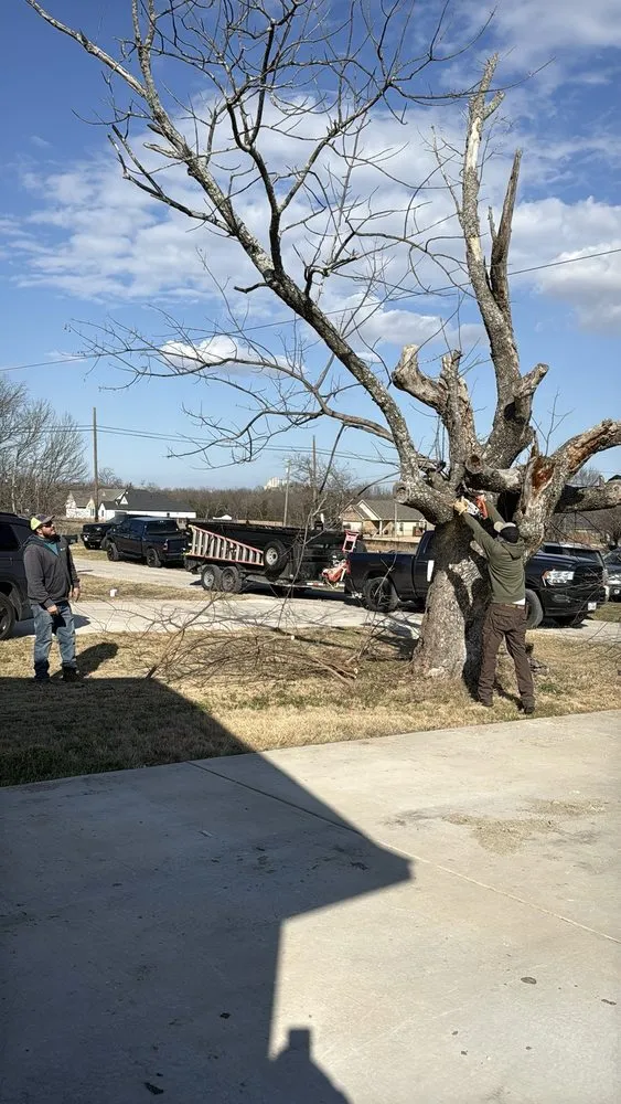 Expert landscape design in Midlothian, TX - Cutting Edge Lawn & Tree Service