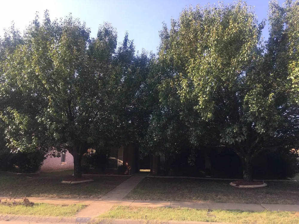 Expert landscape installation for residential properties across Midlothian, TX - Cutting Edge Lawn & Tree Service